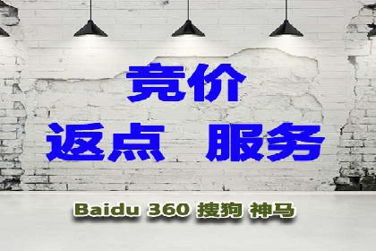 SEM托管实战：某电商平台的成功经验